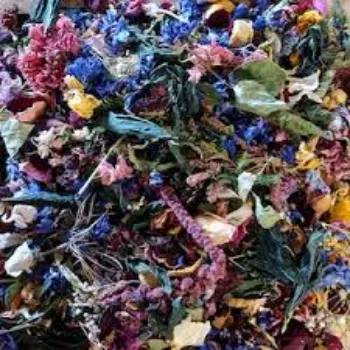 Colorfull Dry Indigo Leaves